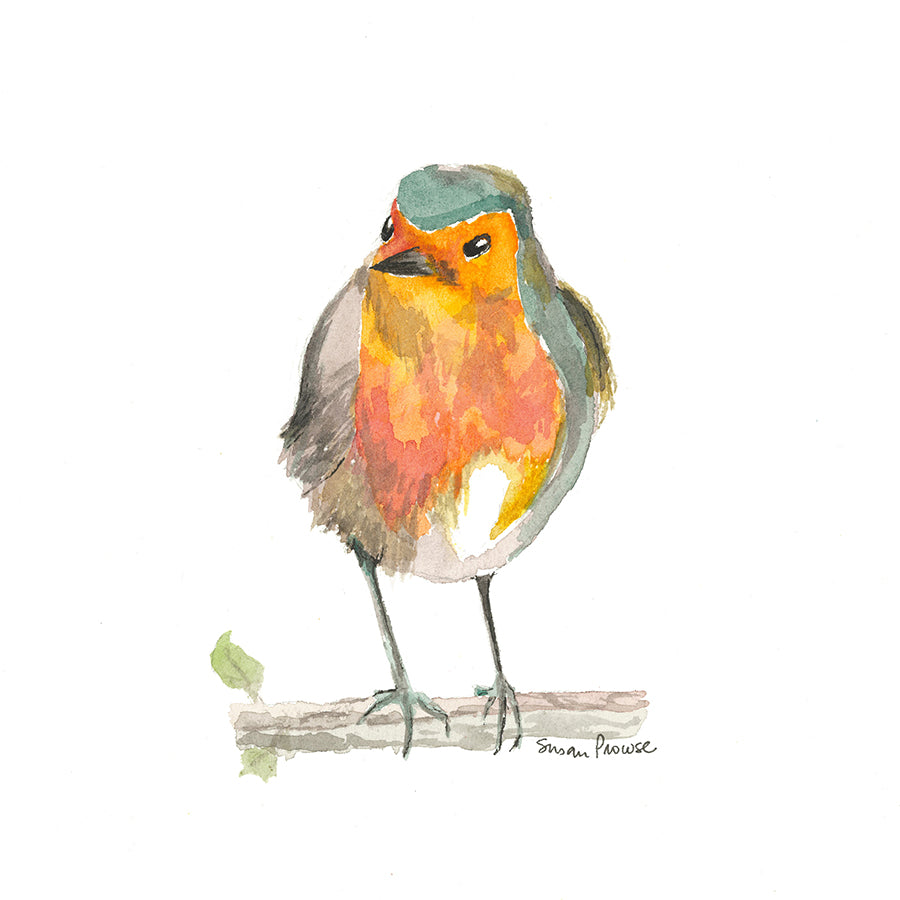 A Robin Original Watercolor by Susan Erwin Prowse